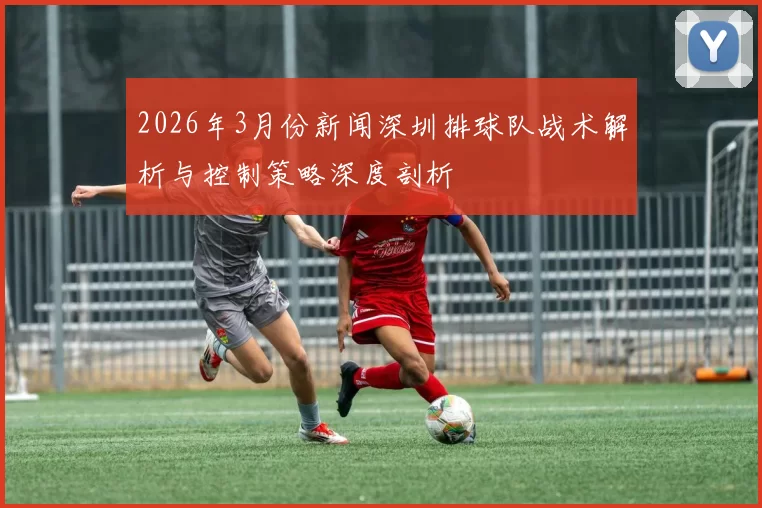 2026年3月份新闻深圳排球队战术解析与控制策略深度剖析