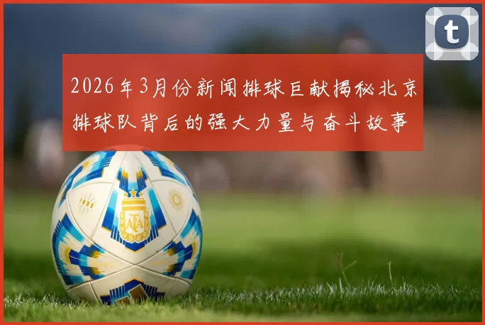 2026年3月份新闻排球巨献揭秘北京排球队背后的强大力量与奋斗故事